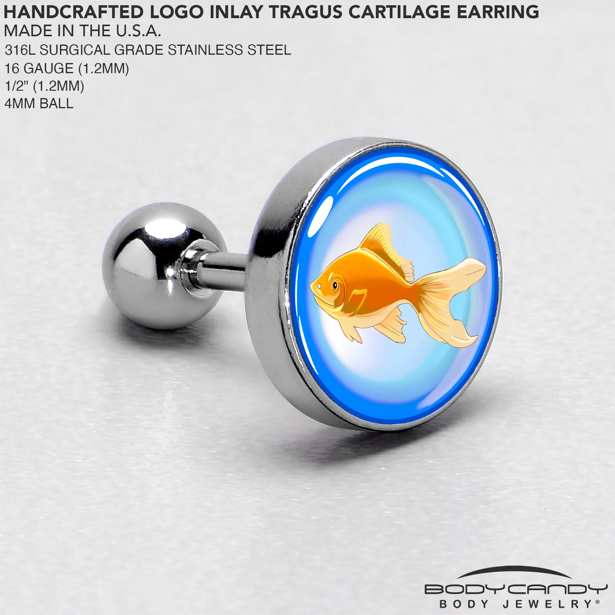 16 Gauge 1/4 Gold Fish Cartilage Tragus Earring