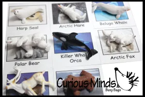 Animal Match - ARCTIC - Miniature Animals with Matching Cards - 2 Part Cards.  Montessori learning toy, language materials - Arctic Animals