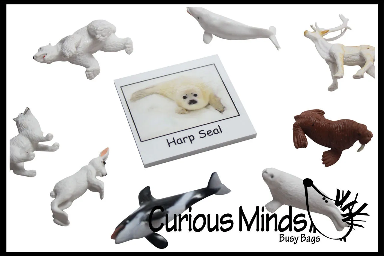 Animal Match - ARCTIC - Miniature Animals with Matching Cards - 2 Part Cards.  Montessori learning toy, language materials - Arctic Animals