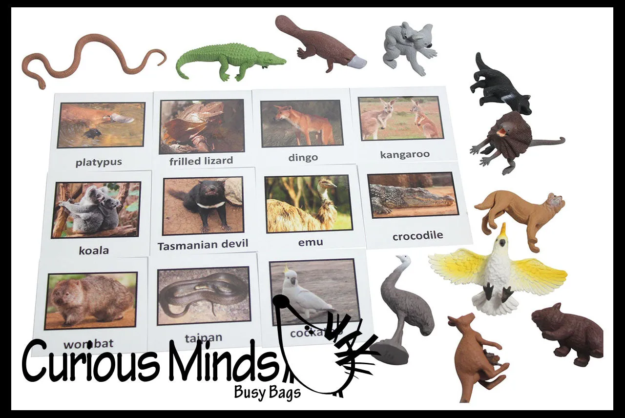 Animal Match - AUSTRALIAN - Miniature Animals with Matching Cards - 2 Part Cards.  Montessori learning toy, language materials - Australian Animals