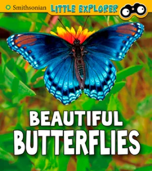 Beautiful Butterflies (Paperback)