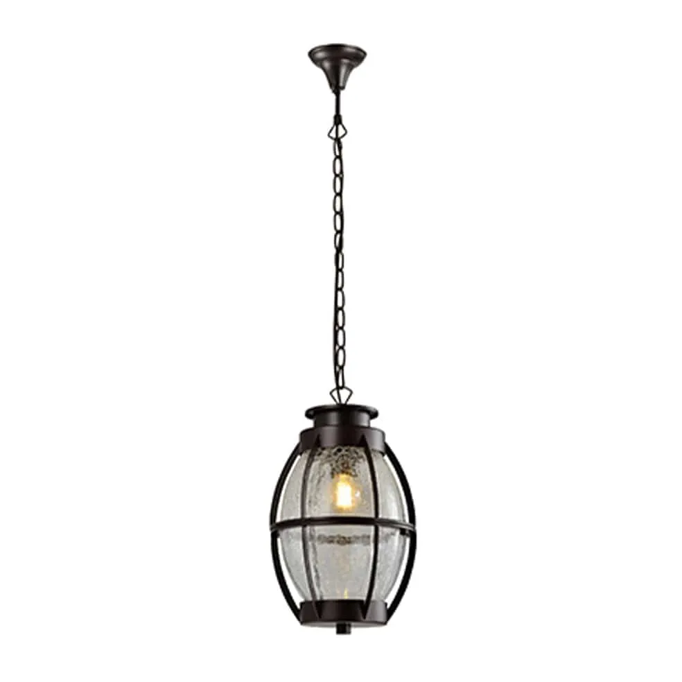 Outdoor Metal and Glass Pendant Light