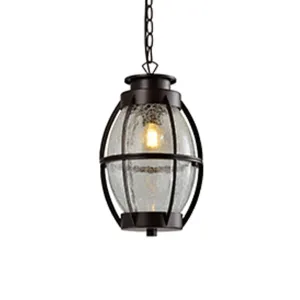 Outdoor Metal and Glass Pendant Light