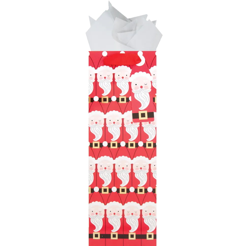 SANTA SUCCESSION BOTTLE BAG