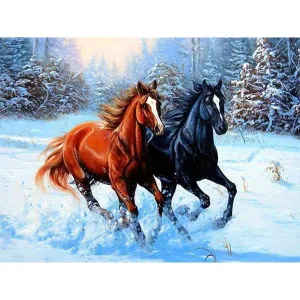 Two Beautiful Horse Running